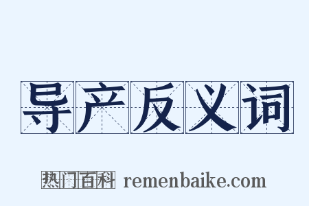 导产反义词是什么意思的图片